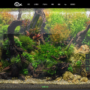 杰凯jaykay水草灯