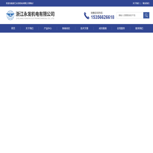 永磁电机(稀土永磁电机)