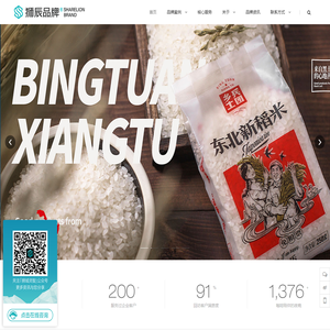 狮辰®品牌设计