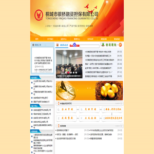 桐城银桥融资担保网