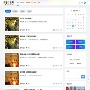 有车网