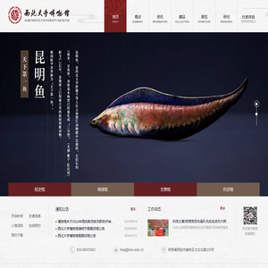 西北大学博物馆