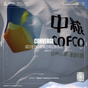 网络品牌策划公司,北京网站建设,高端网站建设,网站设计,专业网站设计