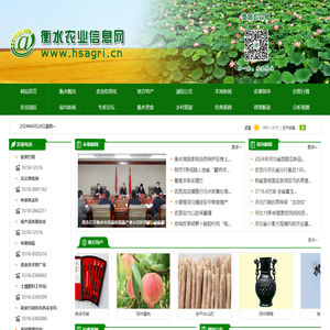衡水农业信息网
