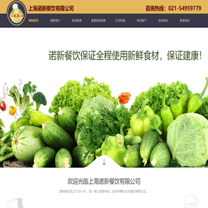 上海诺新餐饮有限公司