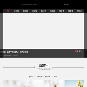 云南药材网