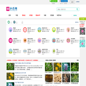 精油小香网