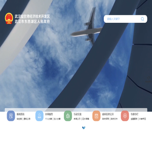 武汉市东西湖区人民政府