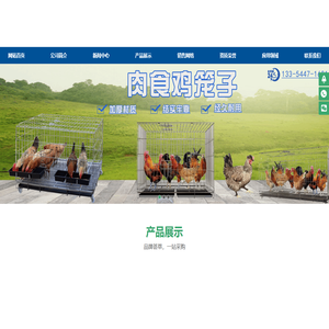肉食鸡笼子,蛋鸡笼子,鸡笼子,养鸡自动化设备,养鸡设备,鸡舍改造设备