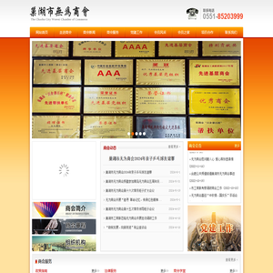巢湖市无为商会官方网站