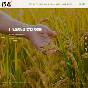 内江市飞龙米业有限公司