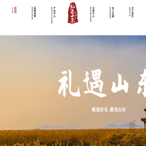礼遇山东