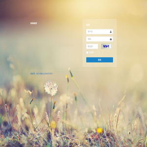 码上来信息科技