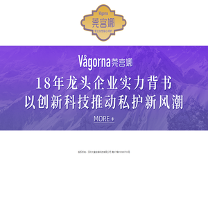 深圳大象安泰科技有限公司