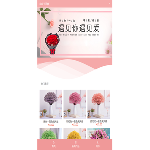 欣欣干花网
