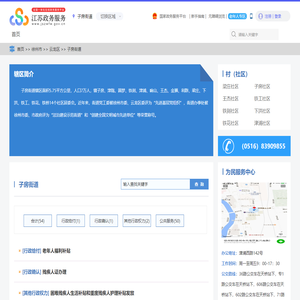 子房街道政务服务网