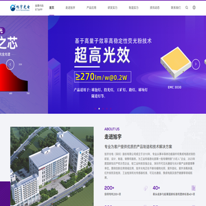 半导体功能器件