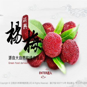 云南浙兴林果种植有限公司