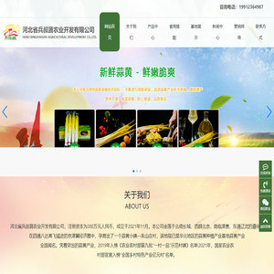 唐山蒜黄培育,河北省兵叔蔬农业开发有限公司