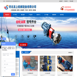 齿轮油泵,导热油泵,不锈钢泵,不锈钢齿轮油泵,高温齿轮油泵