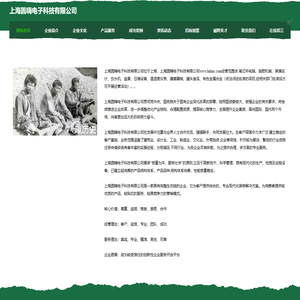 上海圆嗨电子科技有限公司