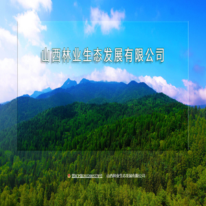 山西林业生态发展有限公司