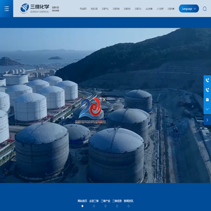 山东三维化学集团股份有限公司