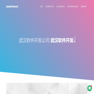 武汉软件外包公司
