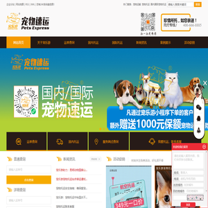 宠物运输