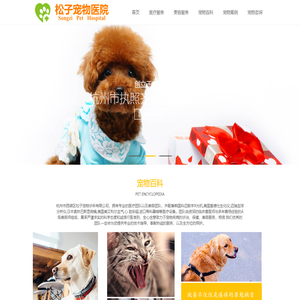 杭州24小时宠物医院