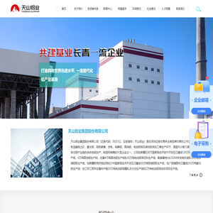 天山铝业集团股份有限公司