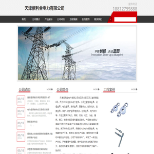 天津佰利金电力有限公司