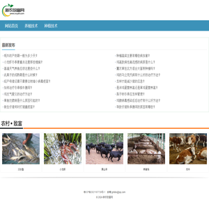 新农致富网
