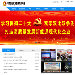 江西新余矿业公司
