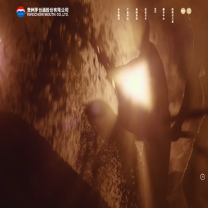 茅台股份官网