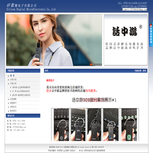 矽数微电子有限公司