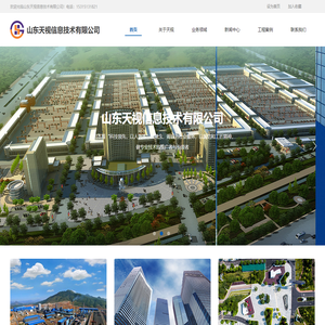 山东天视信息技术有限公司